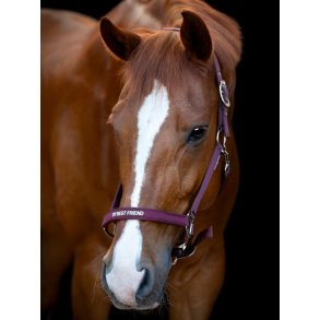 HORSEGUARD MALVA Grime. Italian Plum. 