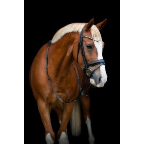 HORSEGUARD CRYLL 25.2 Trense med kombineret nsebnd og tilbagetrk.