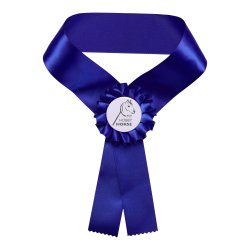 MY HOBBY HORSE resbnd til kphest.