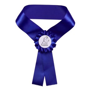 MY HOBBY HORSE resbnd til kphest.