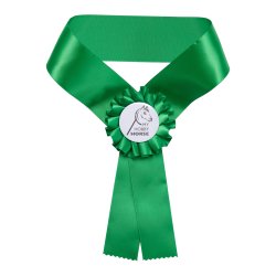 MY HOBBY HORSE resbnd til kphest.