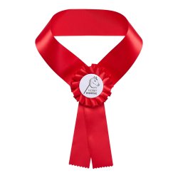 MY HOBBY HORSE resbnd til kphest.