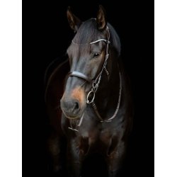 GENTLE BRIDLE Nsebnd med samlingsstykker (A)