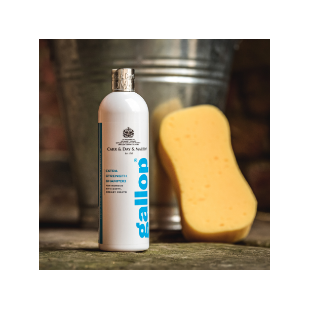 CARR &amp; DAY &amp; MARTIN Extra strength shampoo, 500ml
