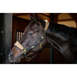 CATAGO FIR-Tech Grand Grime. Kangaroo