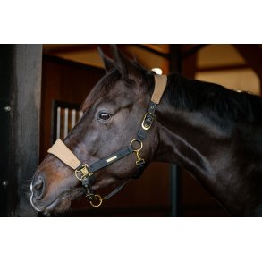 CATAGO FIR-Tech Grand Grime. Kangaroo