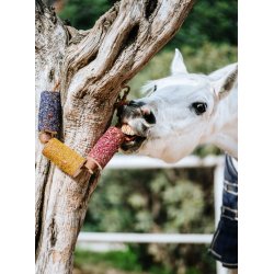 HERBI HORSE Snack p� snor. Happiness
