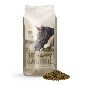 AMEQU GO Happy Gastric. 15kg