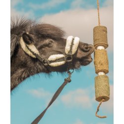 HERBI HORSE Snack p� snor. Recover