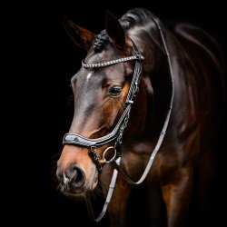 PRESTEQ FAYSPORT Glitter Anatomisk trense