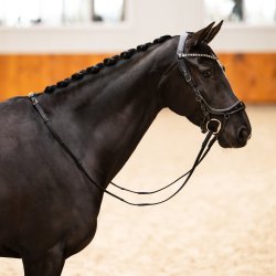 PRESTEQ FAYSPORT Glitter Anatomisk trense