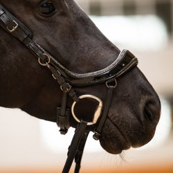 PRESTEQ FAYSPORT Glitter Anatomisk trense