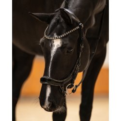 PRESTEQ FAYSPORT Glitter Anatomisk trense