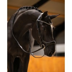 PRESTEQ FAYSPORT Glitter Anatomisk trense