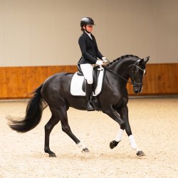 PRESTEQ FAYSPORT Glitter Anatomisk trense