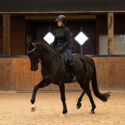 PRESTEQ FAYSPORT Shine Anatomisk trense