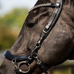 PRESTEQ FAYSPORT Shine Anatomisk trense