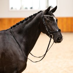 PRESTEQ FAYSPORT Shine Anatomisk trense