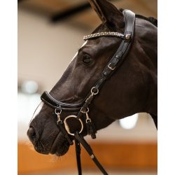 PRESTEQ FAYSPORT Shine Anatomisk trense