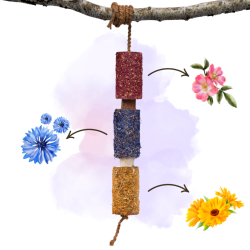 HERBI HORSE Snack p� snor. Happiness