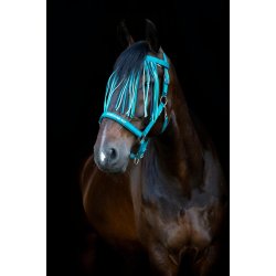 HORSEGUARD MALVA Fluepandeb�nd. Arctic