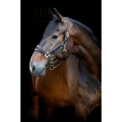 HORSEGUARD ANGEL Grime. After Dark