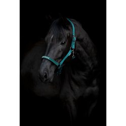 HORSEGUARD SANDRA Grime. Darkest Spruce