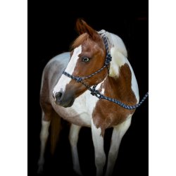 HORSEGUARD Rebgrime med tr�ktov. Navy