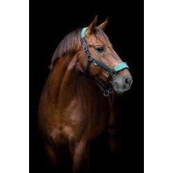 CATAGO FIR-Tech Grand Grime. Duck Green