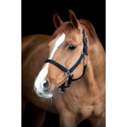 HORSEGUARD SABY Grooming grime. Sort