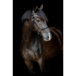 GENTLE BRIDLE Nsebnd med samlingsstykker (A)