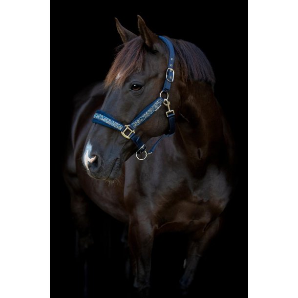 HORSEGUARD ANGEL Grime. Navy