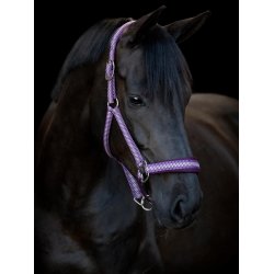 HORSEGUARD COLE Grime. Italian Plum