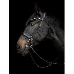GENTLE BRIDLE Hagerem. (B)