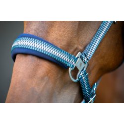 HORSEGUARD COLE Grime. Arctic