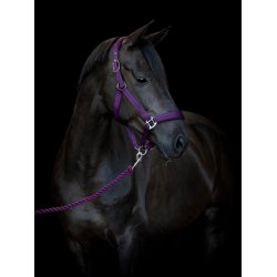 HORSEGUARD DIYA 2.0 Grime. Italian Plum