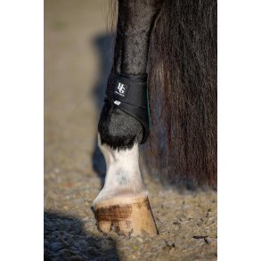 HORSEGUARD TARY Bagbensgamacher. Ponderosa Pine