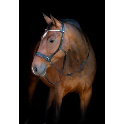 HORSEGUARD Bidl�s trense. Sort