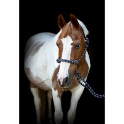 HORSEGUARD Rebgrime med tr�ktov. Navy