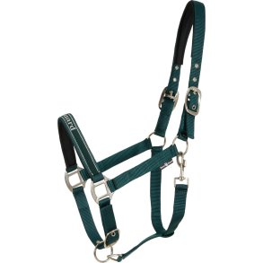 HORSEGUARD SANDRA Grime. Ponderosa Pine