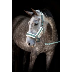 CATAGO LOGI Grime med kunstpels. Laurel Wreath