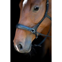 HORSEGUARD Bidl�s trense. Sort