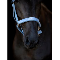 HORSEGUARD MALVA Grime. Coronet Blue. "Handsome Boy"