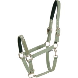 HORSEGUARD MALVA Grime. Granite Green. "My Favorite"