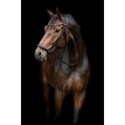 HORSEGUARD CRYLL 25.2 Trense med hannoveransk nsebnd