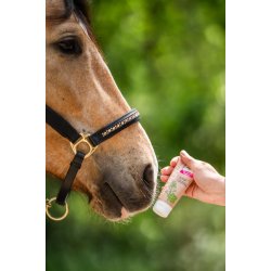 BENSE &amp; EICKE Mouthfine p� tube. 100mL