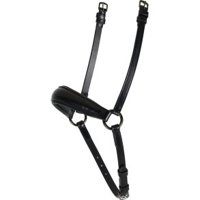 CATAGO ICELAND Hannoveransk nsebnd