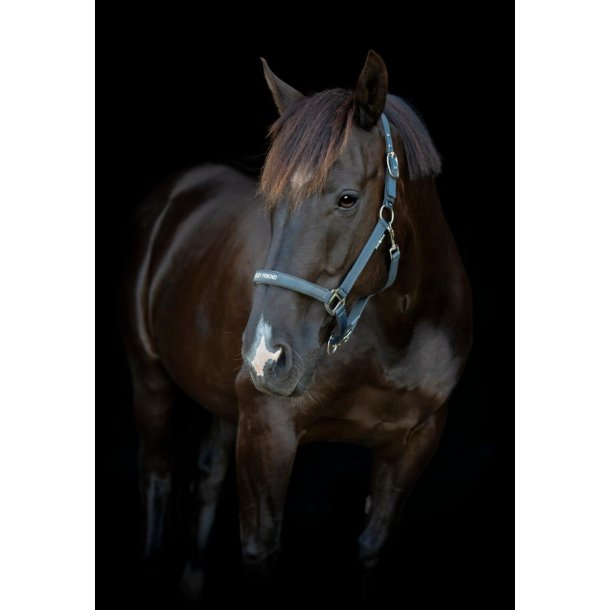 HORSEGUARD MALVA Grime. Asphalt. "Best Friend"