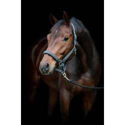 HORSEGUARD VARDIE Flet grime. Asphalt