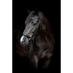 HORSEGUARD CRYLL 24.1 trense med hannoveransk nsebnd